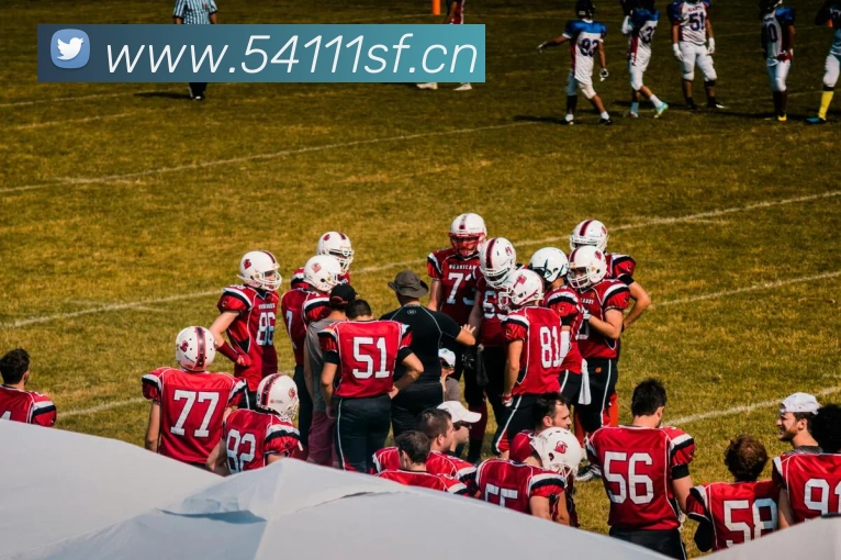 App Interface Preview